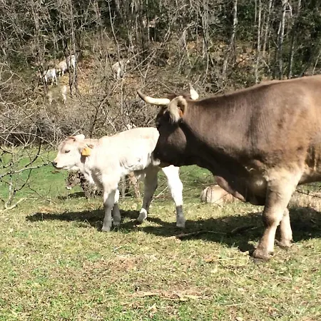 Casa de hóspedes Pichuana - Rustico 2 3*